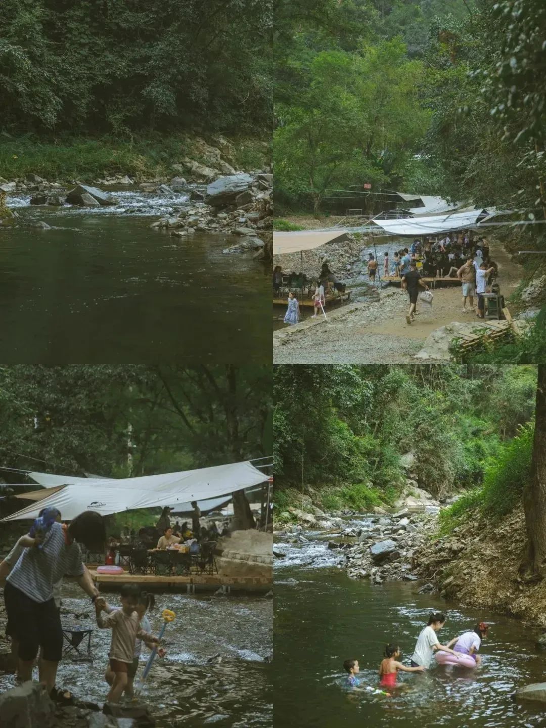DƬ